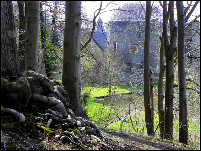 Castle Heyden