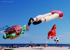 Flying Dreams on the beach in CERVIA (Romagna - Italia)