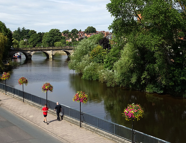 Flowers by the riverside