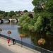 Flowers by the riverside