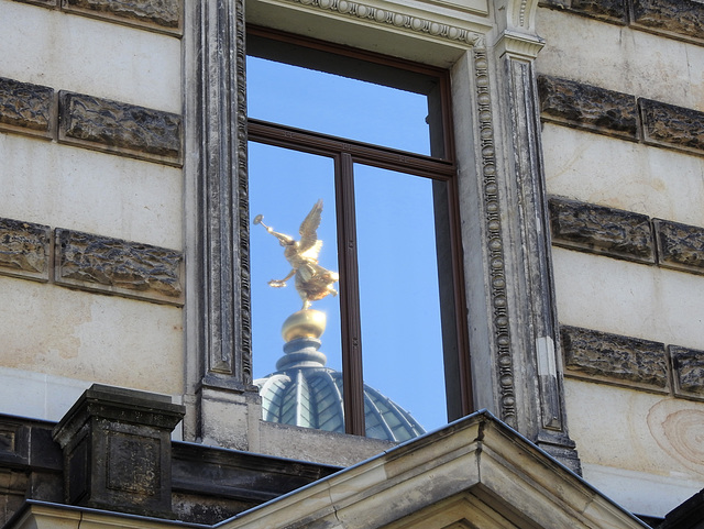 Fama im Fenster, Dresden