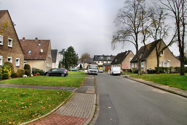 Eckenerstraße (Castrop-Rauxel-Ickern) / 2.11.2017