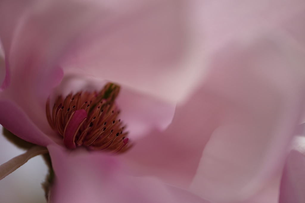 DSCF5395