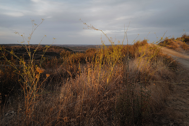 Penedos, End of day