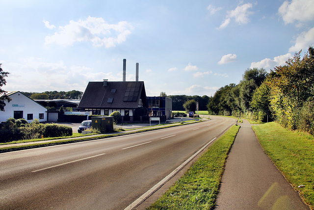 Weseler Straße (Voerde-Friedrichsfeld) / 5.10.2024
