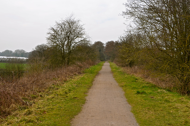 Disused railway near Haughton