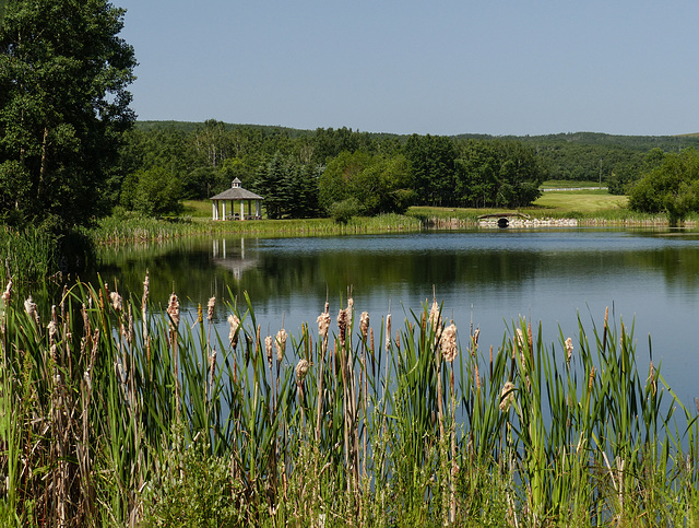 A beautiful property, SW of Calgary