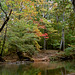 Big Wills Creek - Early Fall