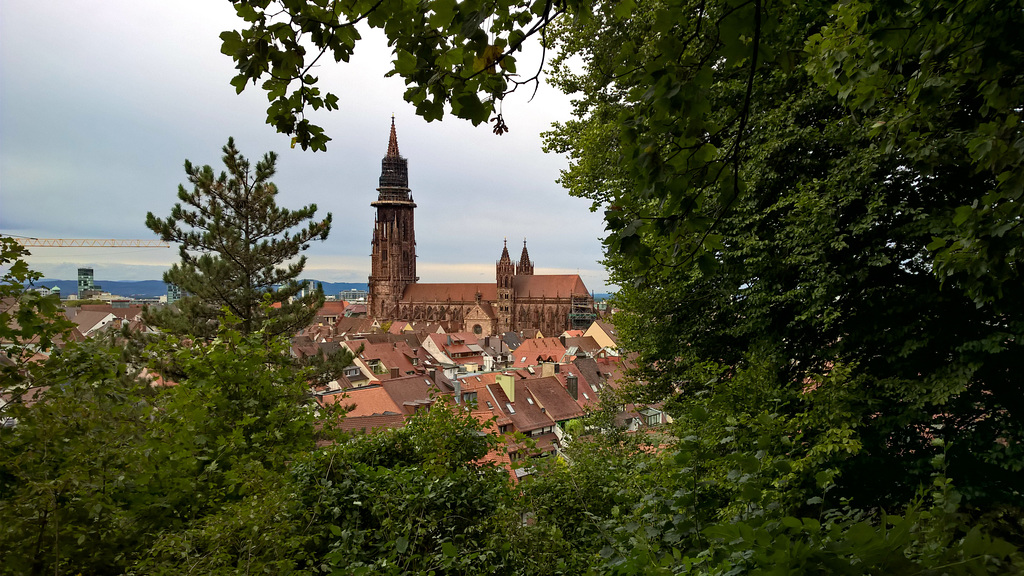 Freiburg im Breisgau, Altstadt, Münster, Schloßberg