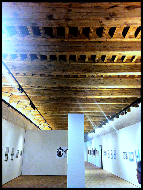 Pamplona: Palacio del Condestable, 10