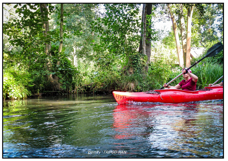 Im Spreewald