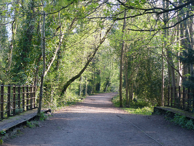 Tracing The Meon Valley Railway (26) - 19 April 2019