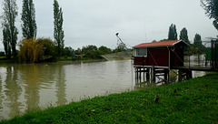 Les carrelets bord de Charente...