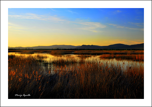 Tablas de Daimiel al crepúsculo