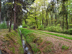 DSCF8684