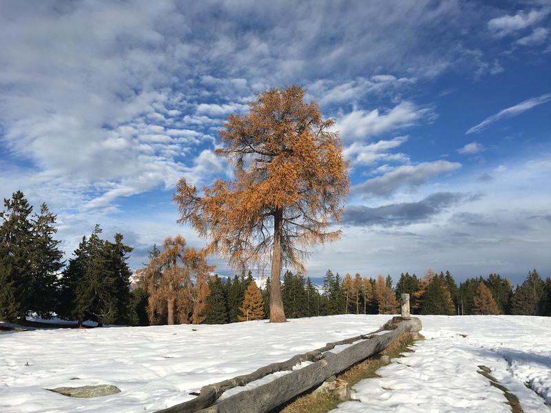 Avant l’hiver