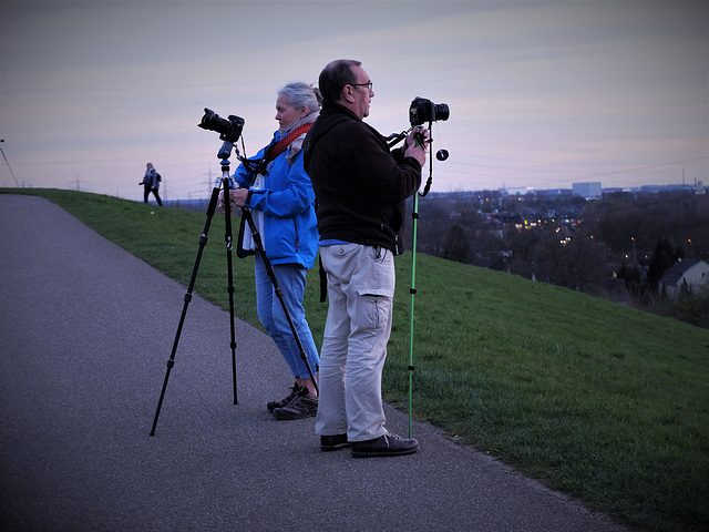 Jobsharing am Magic Mountain (Tiger & Turtle)        + 1 PiP