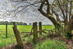 Fences Old and New - (HFF everyone)