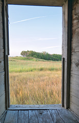 Ruzicka side window2