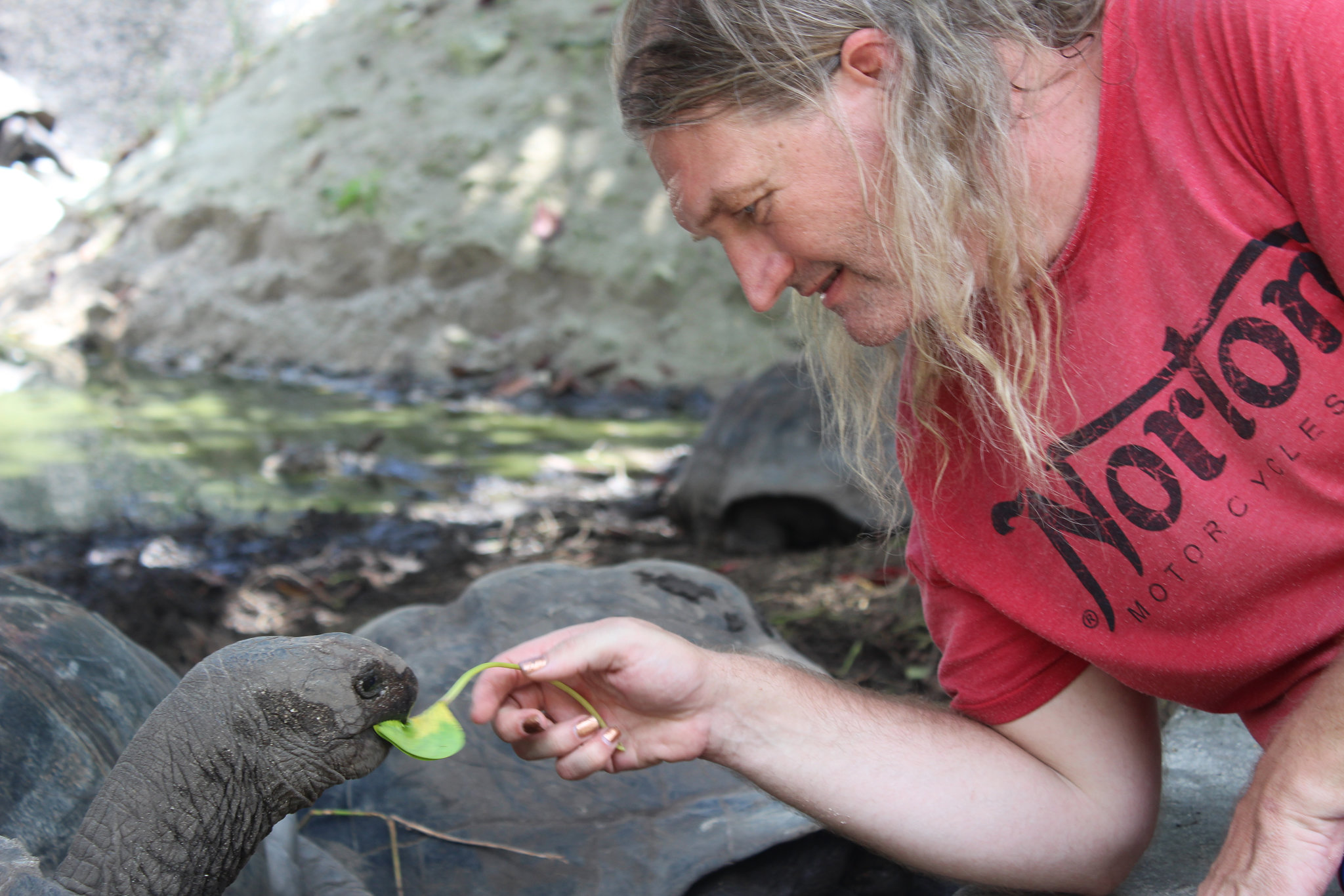 Legolas and the Tortoise