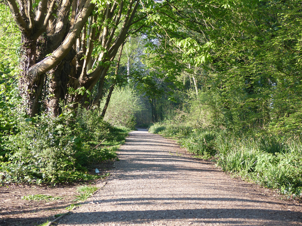 Tracing The Meon Valley Railway (28) - 19 April 2019