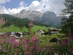 Passeggiata in Val Parola