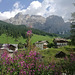 Passeggiata in Val Parola