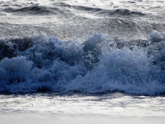 la mer a toujours quelque chose à dire,