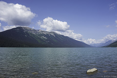 am Moose Lake ... P.i.P.  (© Buelipix)