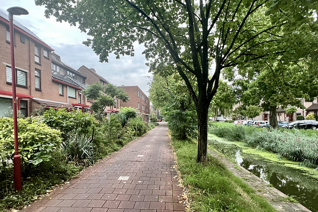 Zoetermeer 2023 – Waterleliepad