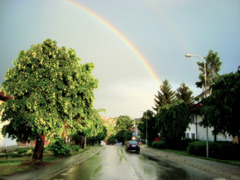 A rainbow over my street