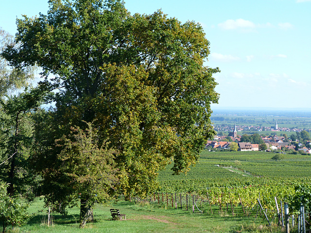 An der Villa Ludwigshöhe