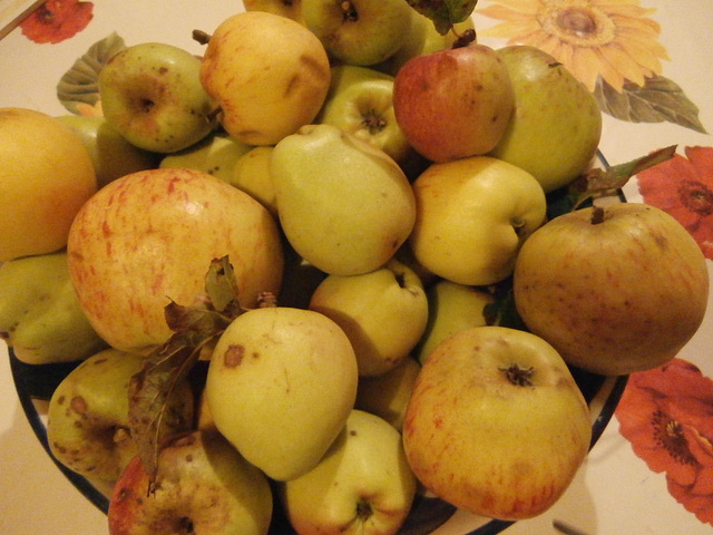 My first batch of apples this year