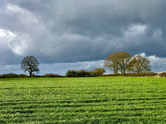 Storm Gareth