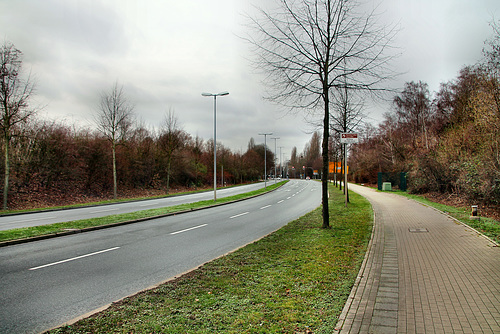 Alfred Zingler Strasse Gelsenkirchen