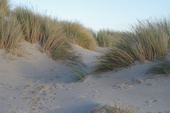 Les dunes !
