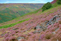 Crowden in Longdendale