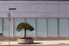 Rus in urbe #45 Rus in urbe #45