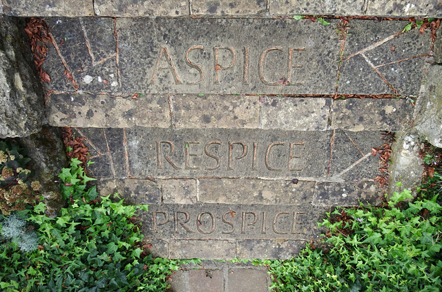 ASPICE, RESPICE, PROSPICE