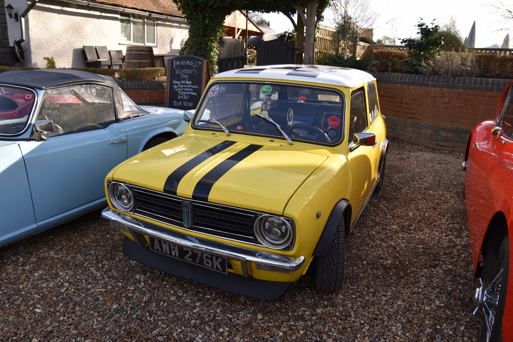 hmbmfeb192023 (1101)