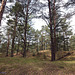 Słowiński Park Narodowy (4)