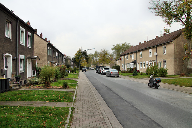 Zechenstraße (Castrop-Rauxel-Ickern) / 2.11.2017