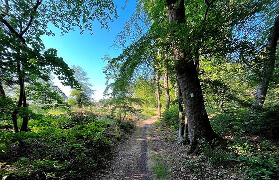 Auf dem Wanderweg Nr. 3