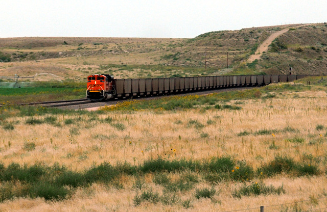 BNSF Train, Wyoming