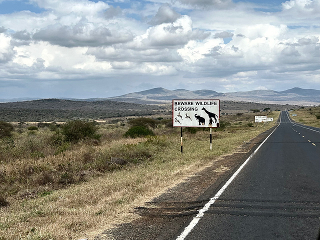 BEWARE WILDLIFE CROSSING.