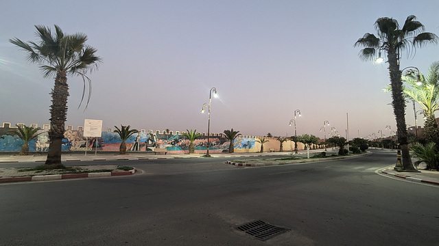 Cocotiers et lampadaires / Streetlights and coconut trees
