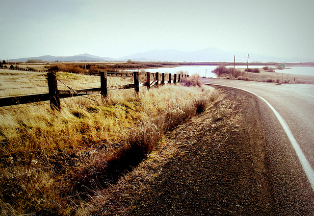 Bend in the road