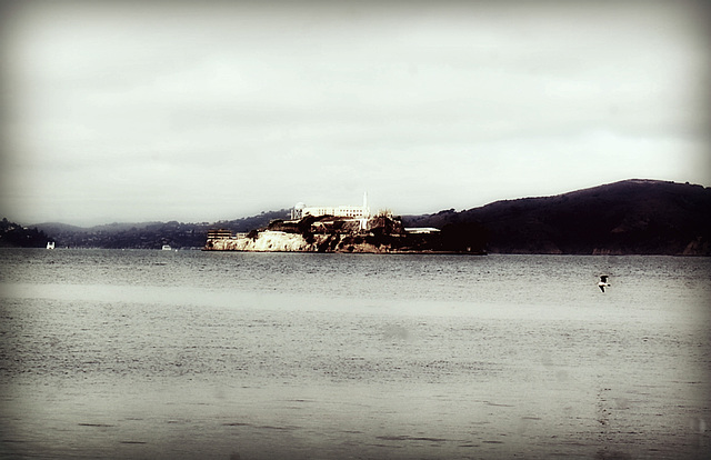 Alcatraz *