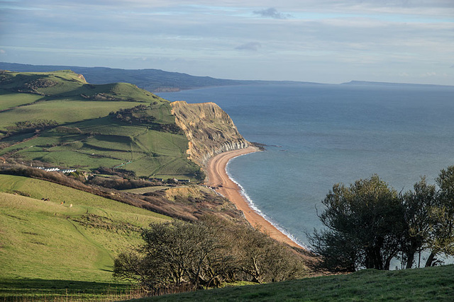 Golden Cap view