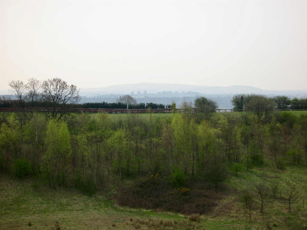 Looking North towards Wednesfield from the summit of the old pit mound at Baggeridge